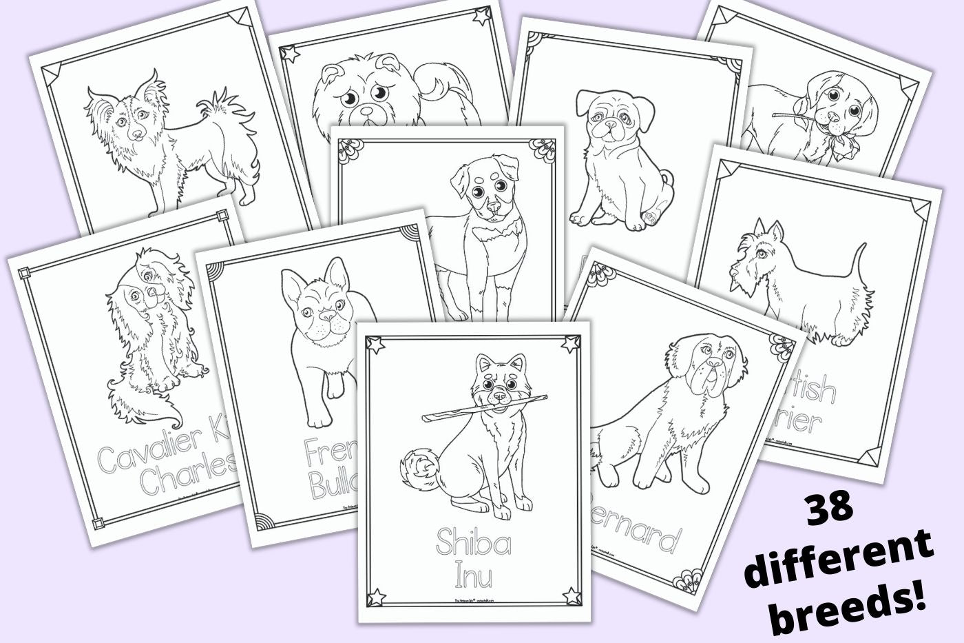 Dog Breed Coloring Pages 2025 Dog Breed Coloring Pages 2025