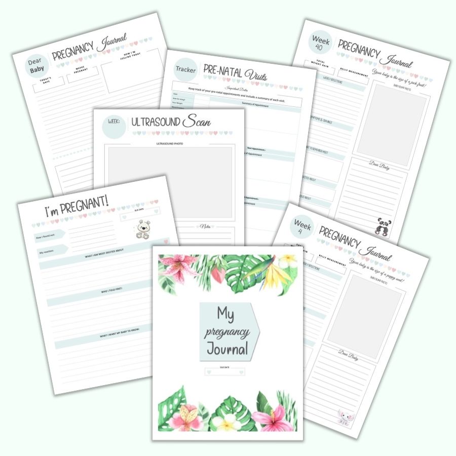 Printable Pregnancy Journal & Memory Book