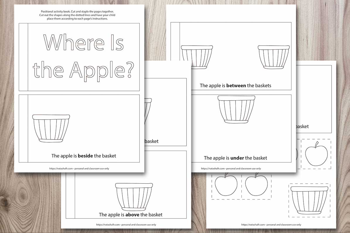 Apple Theme Positional Word Interactive Book for Emergent Readers